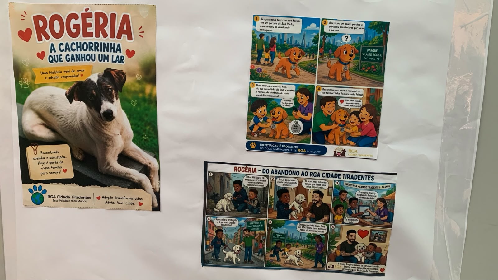 a história em quadrinhos no cartaz mostra à esquerda a história da Rogéria que ganhou um lar e à direita a história do Rex que foi localizado pela chip implantado e retornou aos seus antigos donos.