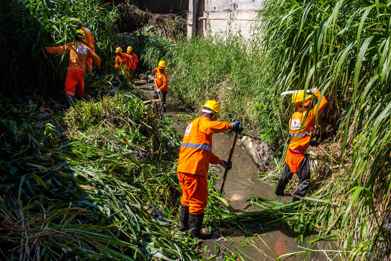 Funcionários da Prefeitura realizando a limpeza de córrego. 
