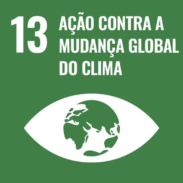 A imagem mostra o ícone da ODS 13 "Ação contra a Mudança Global do Clima", representada por um ícone verde escuro, com o desenho de um olho com o globo terrestre dentro