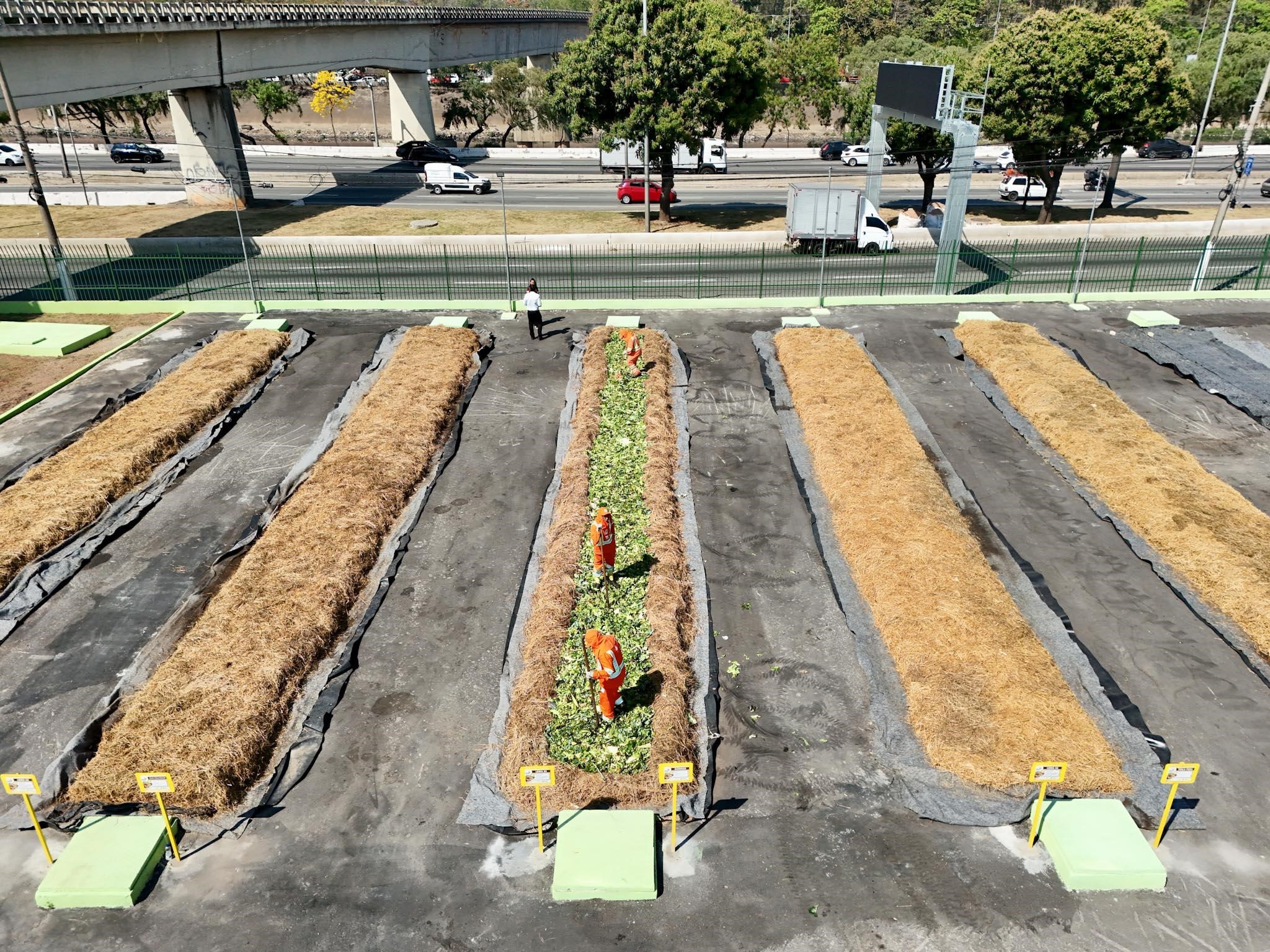Fotografia aérea de uma área plana, possivelmente um pátio ou terreno abandonado transformado em uma área de compostagem ou canteiro de preparação de solo.  A imagem mostra seis longos canteiros retangulares dispostos paralelamente sobre o asfalto ou chão escuro. Quatro dos canteiros laterais estão cobertos por uma espessa camada de material palhoso de cor marrom claro (palha ou feno). O canteiro central, mais estreito, contém material orgânico verde em decomposição.  No canteiro central, dois trabalhadores vestindo uniformes laranja e coletes de segurança estão em pé e trabalhando com o material. Pequenas placas amarelas com hastes de metal estão fincadas no chão ao lado dos canteiros, com bases de concreto verde claro.  Ao fundo, há uma grade verde que separa a área de uma via expressa com tráfego de carros. Acima da rua, uma estrutura de viaduto de concreto está visível. O dia é ensolarado e há árvores e vegetação na colina ao fundo, sugerindo um ambiente urbano com áreas verdes próximas.